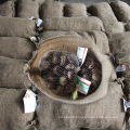 New Crop Bulk Chestnut for sale--Hebei Chestnuts